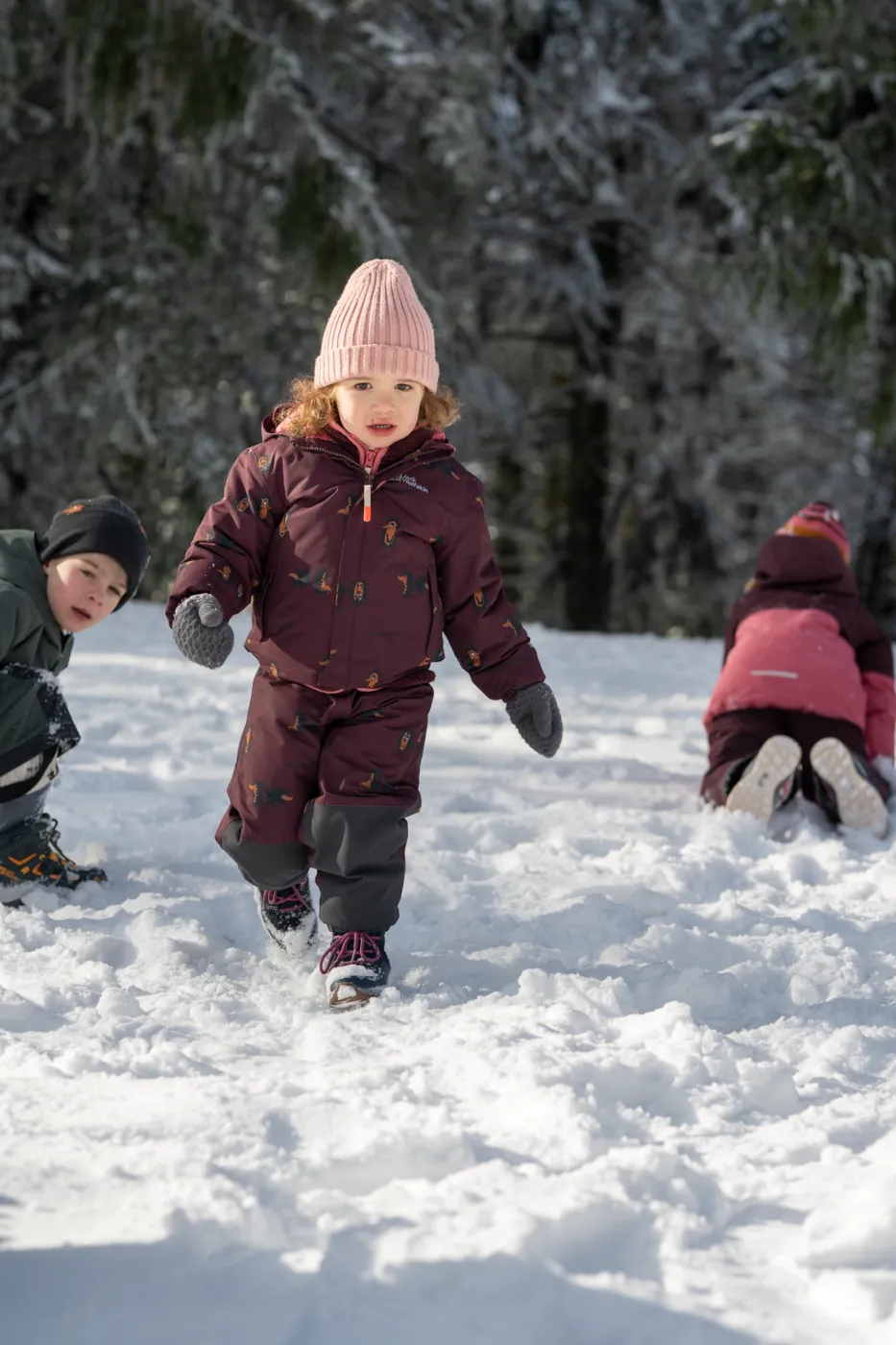 Jack Wolfskin Kids' Gleely 2-Layer Insulated Print Jacket Boysenberry 51 | Buy Jack Wolfskin Kids' Gleely 2-Layer Insu