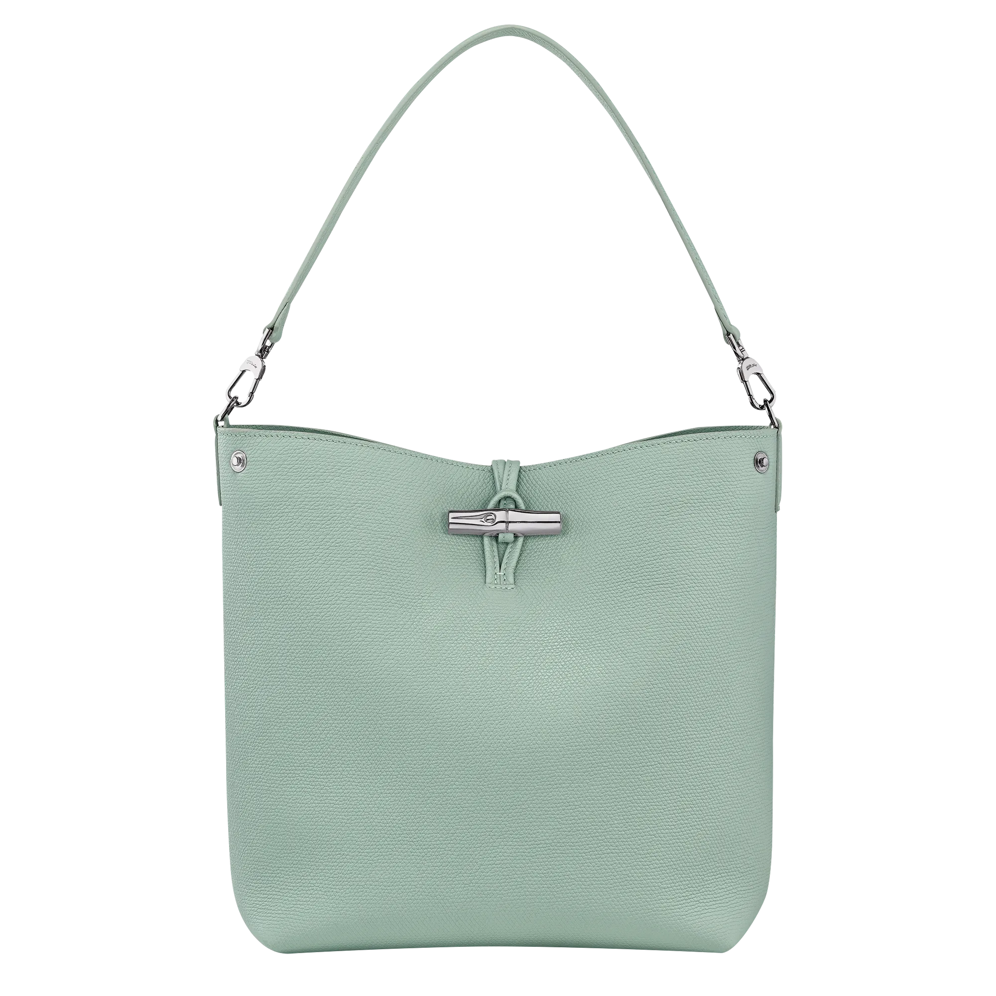 Le Roseau M Shoulder bag Celadon - Leather